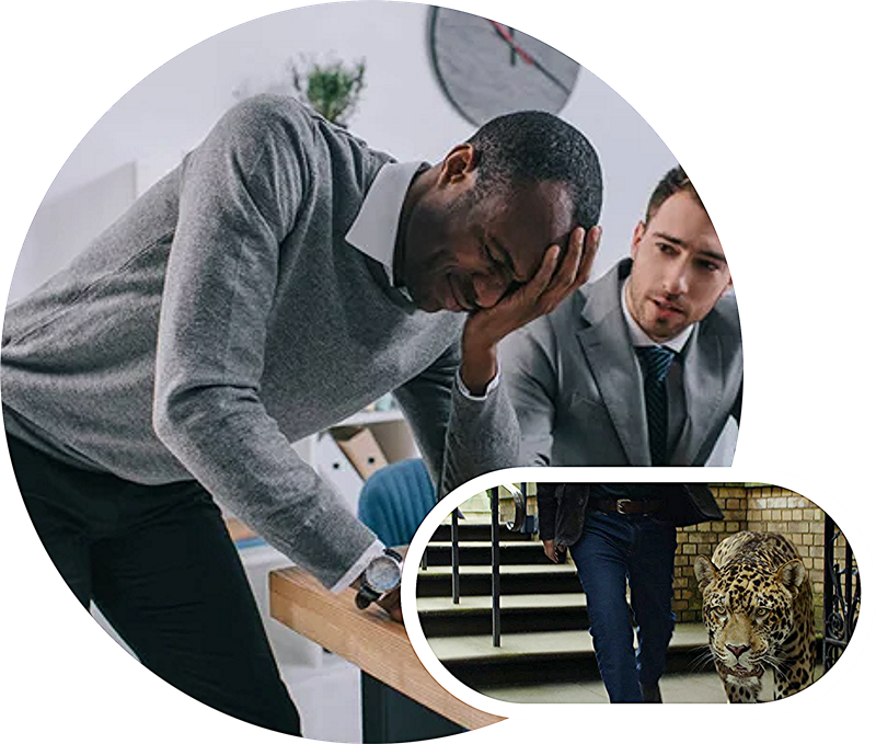 BUSINESS ADVISORY | ACCOUNTING + TAX